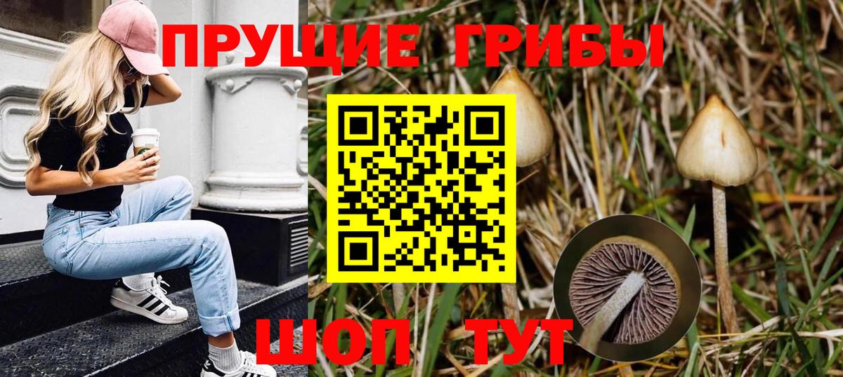 Псилоцибиновые грибы прущие грибы Павлово